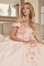 Floral Embroidered Tulle Sweetheart Long Quinceanera Dress JT1433