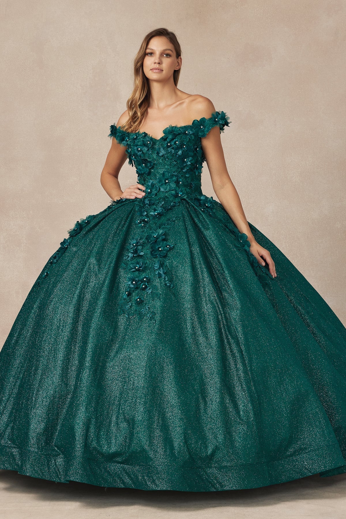 Floral Embroidered Tulle Sweetheart Long Quinceanera Dress JT1433