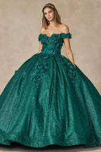 Floral Embroidered Tulle Sweetheart Long Quinceanera Dress JT1433