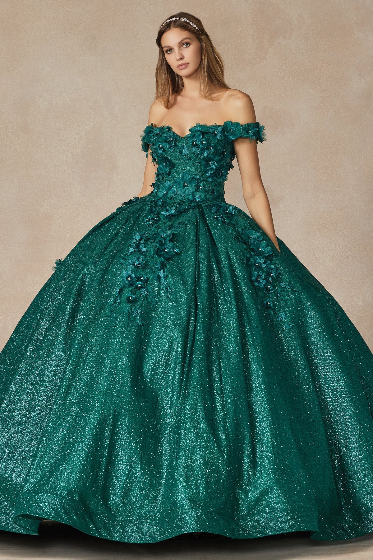 Floral Embroidered Tulle Sweetheart Long Quinceanera Dress JT1433